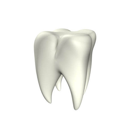 3d illustration looks clean tooth at the white background.の写真素材