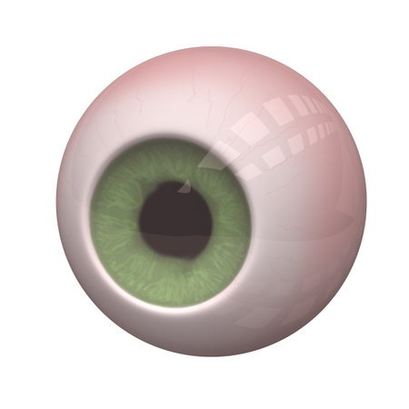 3d illustration of the eye on the white background の写真素材