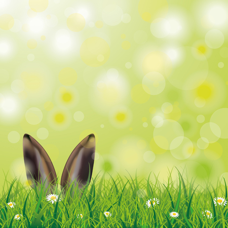 White flowers in grass with hare ears on the bokeh background.のイラスト素材