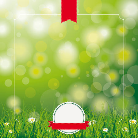 White flowers in grass on the bokeh background. Eps 10 vector file.のイラスト素材