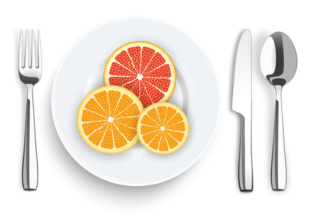 Flatware with citrus fruits on the white background. vector file.のイラスト素材