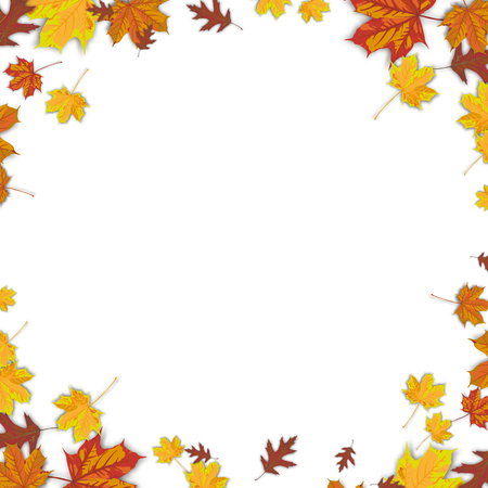 Autumn cover with foliage and white background. vector file.のイラスト素材