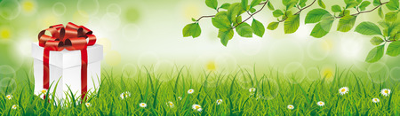 Gift carton with beech twigs and white flowers in grass on the bokeh background. Eps 10 vector file.のイラスト素材