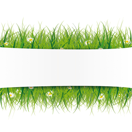 White paper banner with green grass. Eps 10 vector file.のイラスト素材