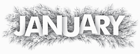 Spruce frozen twigs with the text January.のイラスト素材