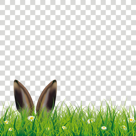 White flowers in grass with hare ears on the checked background. Eps 10 vector file.のイラスト素材