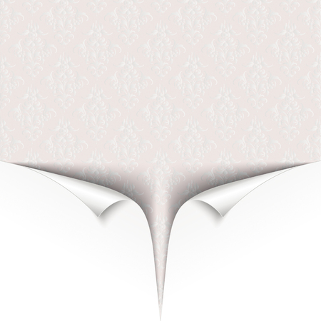 White cover with scrolled corners and classic ornaments.のイラスト素材