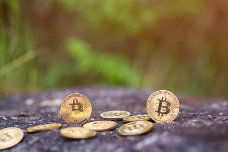 Golden Bitcoins in the natureの写真素材