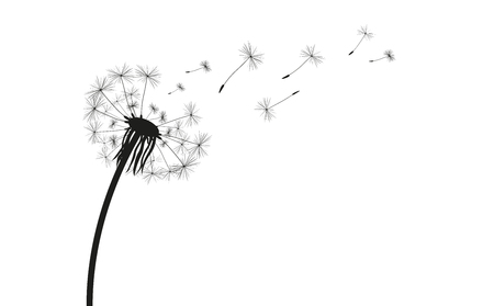 Dandelion silhouette on the white. Eps 10 vector file.のイラスト素材
