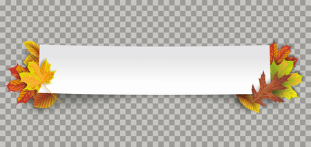 Autumn foliage with white paper banner on the checked background. Eps 10 vector file.のイラスト素材