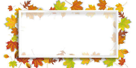 Autumn banner with awhite frame.  Eps 10 vector file.のイラスト素材