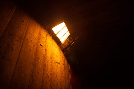 A light at night under der bridge.