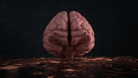 Brain hologram with a circuit diagram on the dark background. 3d illustration.の写真素材