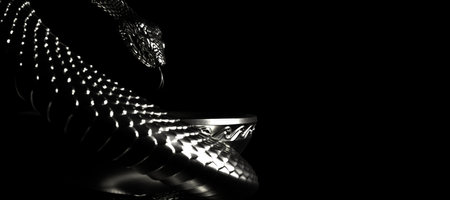 An aesculapian staff on a black background. 3d illustration.の写真素材
