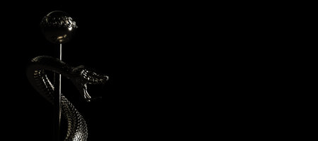 An aesculapian staff on a black background. 3d illustration.の写真素材