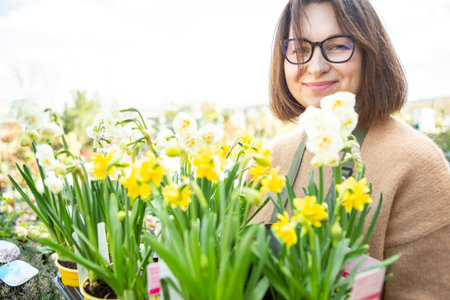 A mature woman as a gardener in a nursery with flower pots with daffodils.の写真素材