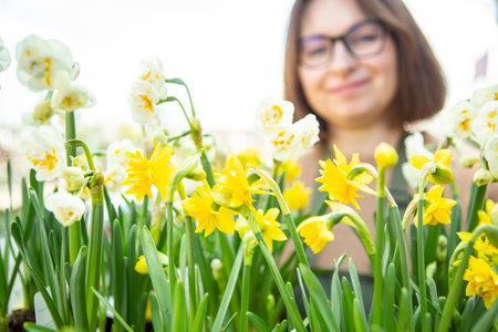 A mature woman as a gardener in a nursery with flower pots with daffodils.の写真素材