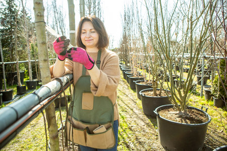 A mature woman gardener in a nursery among the trees in the pots.の写真素材