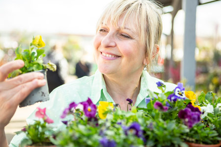 A mature woman as a gardener in a nursery with flower pots with violets.の写真素材