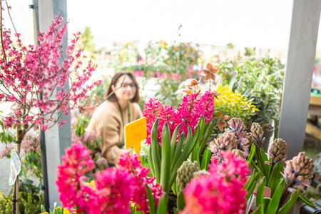 A mature woman gardener cares for the flowering plants in the nursery.の写真素材