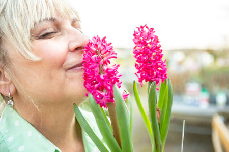 A mature woman gardener cares for the flowering plants in the nursery.の写真素材