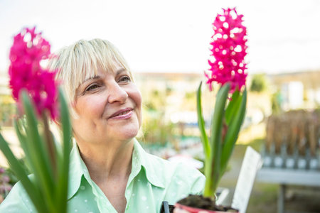 A mature woman gardener cares for the flowering plants in the nursery.の写真素材
