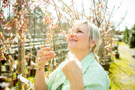 A mature woman gardener in a nursery among the trees in the pots.の写真素材