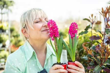 A mature woman gardener cares for the flowering plants in the nursery.の写真素材