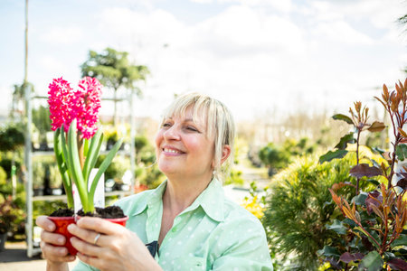 A mature woman gardener cares for the flowering plants in the nursery.の写真素材