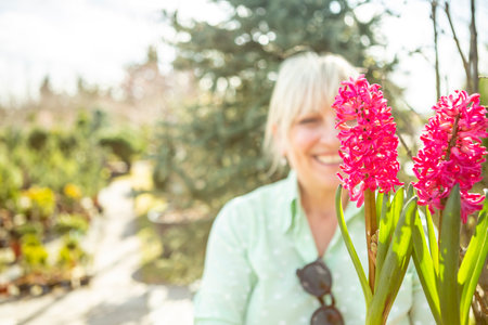 A mature woman gardener cares for the flowering plants in the nursery.の写真素材