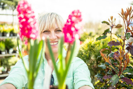 A mature woman gardener cares for the flowering plants in the nursery.の写真素材
