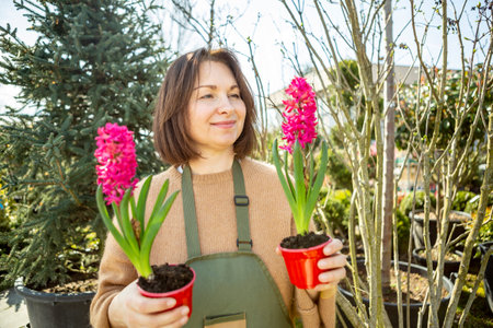 A mature woman gardener cares for the flowering plants in the nursery.の写真素材