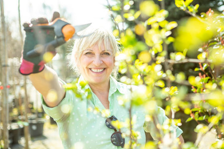 A mature woman gardener in a nursery among the trees.の写真素材