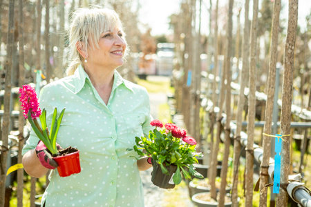 A mature woman gardener cares for the flowering plants in the nursery.の写真素材