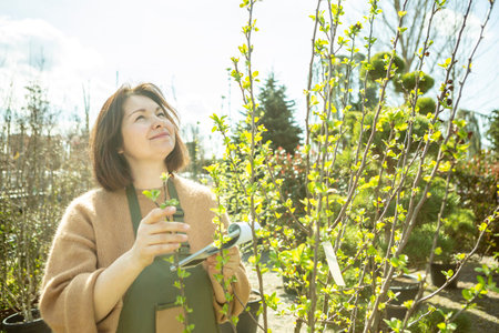 A mature woman gardener in a nursery among the trees.の写真素材