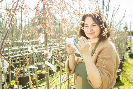A mature woman gardener in a nursery among the trees.の写真素材
