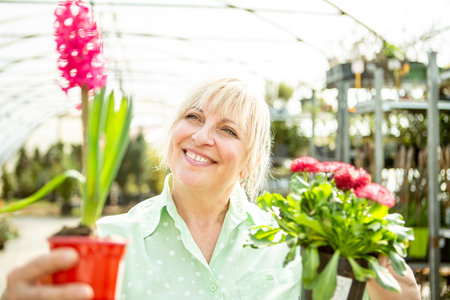 Woman blissfully smelling vibrant hyacinth bloomsの写真素材