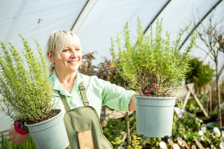 Cheerful woman in a greenhouse holding rosemary pots in greenhouse.の写真素材