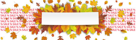 White paper sticker with autumn foliage. Eps 10 vector file.のイラスト素材