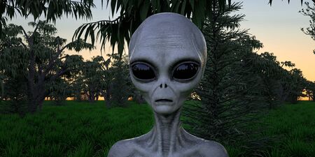 Alien Grey Humanoid Extraterrestrial Being extremely detailed and realistic high resolution 3d image