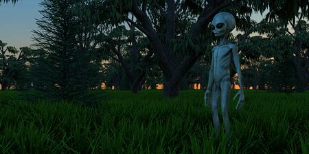 Alien Grey Humanoid Extraterrestrial Being extremely detailed and realistic high resolution 3d imageの写真素材