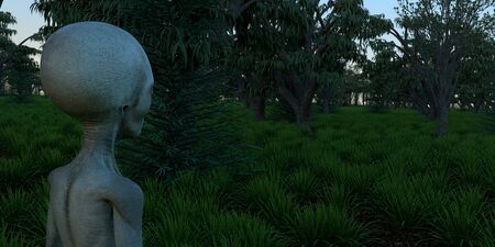 Alien Grey Humanoid Extraterrestrial Being extremely detailed and realistic high resolution 3d imageの写真素材