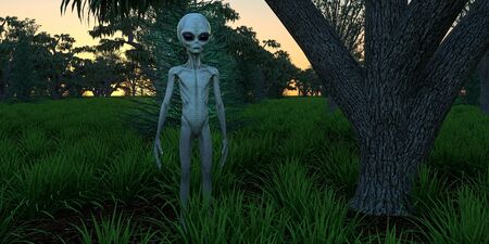 Alien Grey Humanoid Extraterrestrial Being extremely detailed and realistic high resolution 3d imageの写真素材