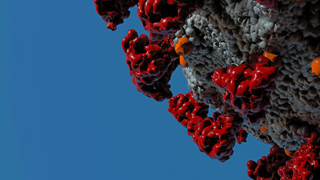 Coronavirus Corona Covid19 Korona Virus Glykoproteine Novel White 3D Illustration