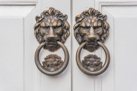 Lion knocker on white door
