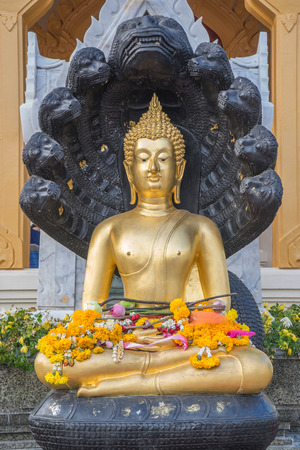 Sitting Buddha Statue under the Protective Cover of a 9-headed Nagaの写真素材