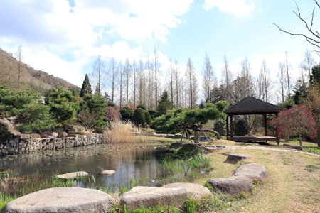 Park path naju koreaの写真素材