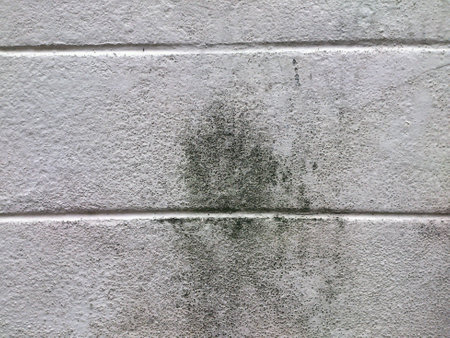 A wall from my homeの素材