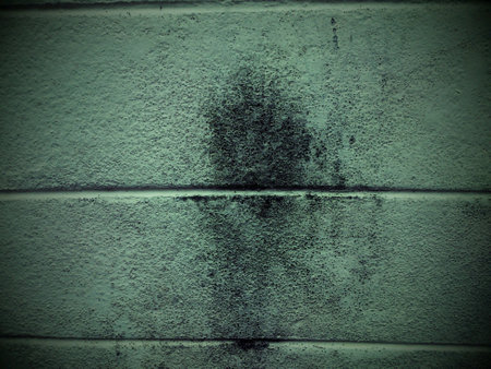 A wall from my home darkenの素材