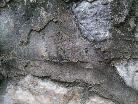 Wall from backyardの素材